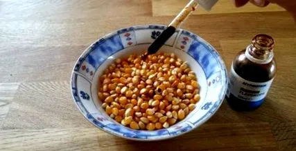 popcorn