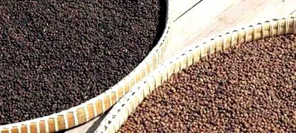sănătos
