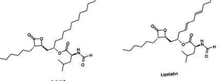 orlistat