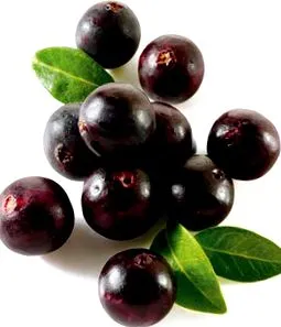 тест berry
