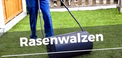tekerje