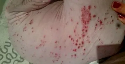 puncte