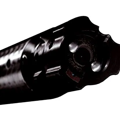 sauer