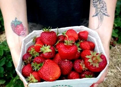 dietă