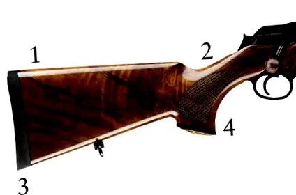 sauer