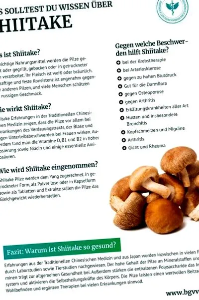 termékajánlat