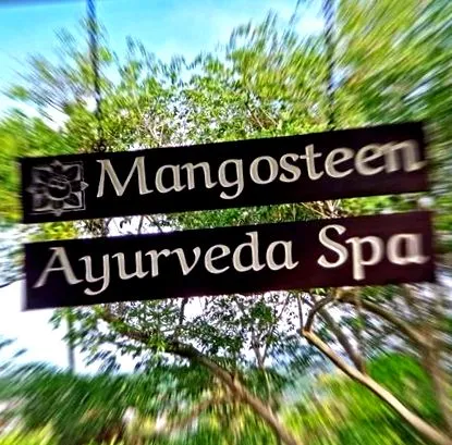 wellness ajurvéda