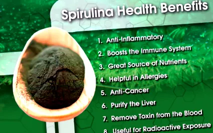 spirulina algatáplálkozás