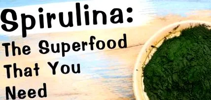 algatáplálkozás spirulina