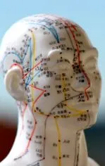 tradițională tradițională