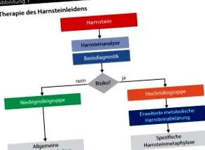 érdemes betegségben