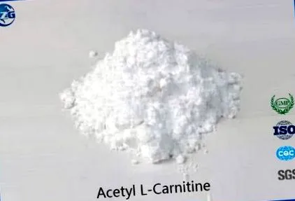 carnitine