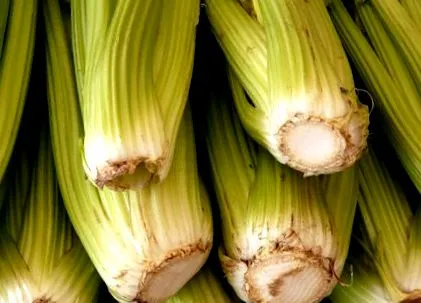 életben