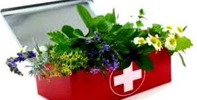 plante