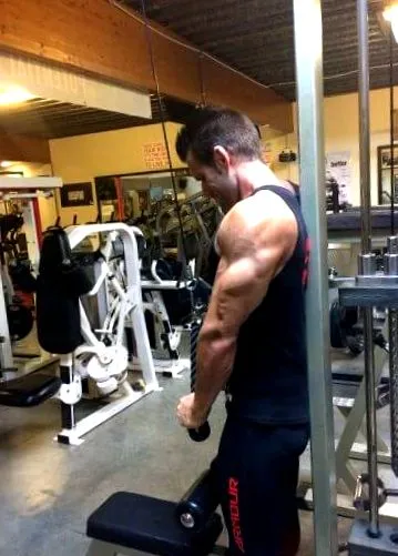 triceps