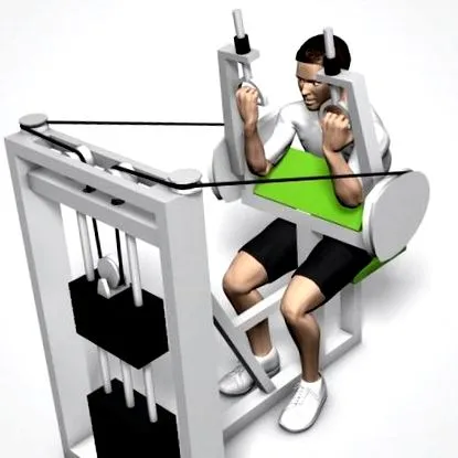 biceps antrenament