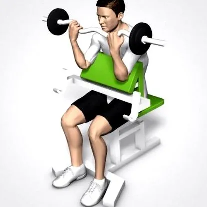 biceps pentru