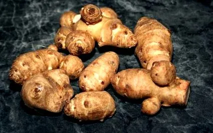 csicsóka