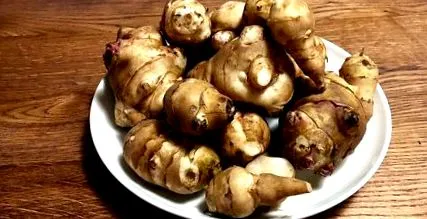 leguma