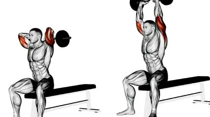 exerciții
