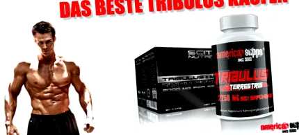 tribulus