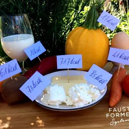 conștiința calorii