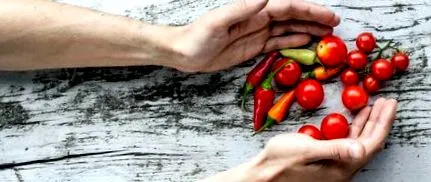 sportivi vegani
