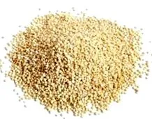 quinoa fapte