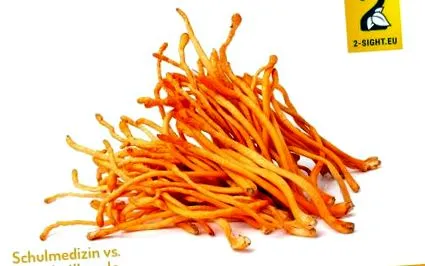 cordyceps