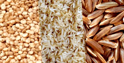 quinoa quinoa