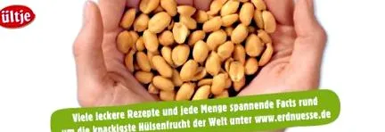 tapasztalataim