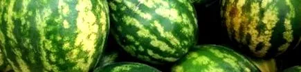 pepenii
