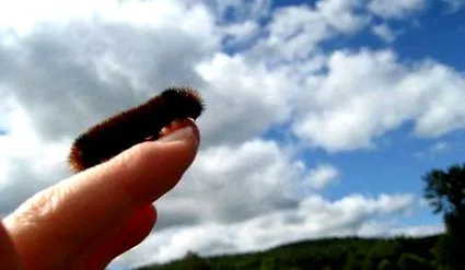 oamenilor timpul