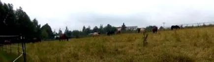 păstrarea