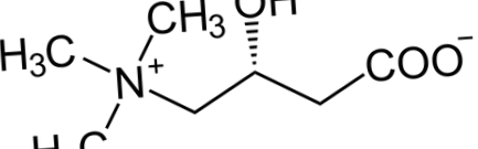 л-карнитин
