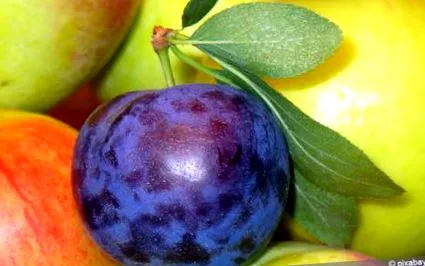 mirabelle