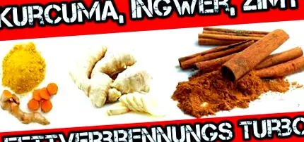 anyagcsere gyömbér