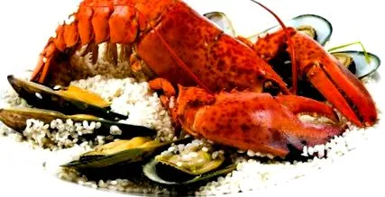 caracteristici