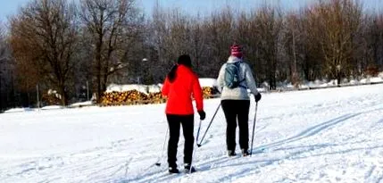 scap iarna