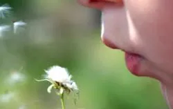 pentru copii copii