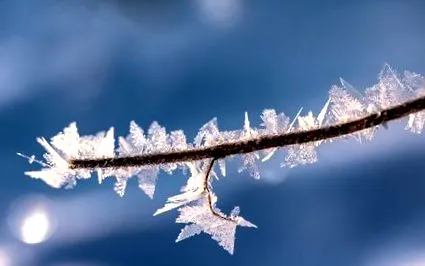 winter