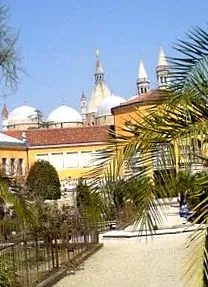 biológia