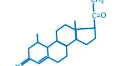 bioidentical