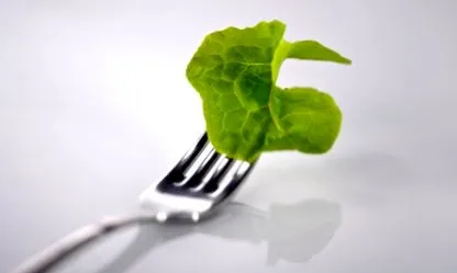 vegetáriánus