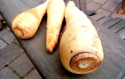 jelenti hogy