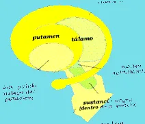kalóriát
