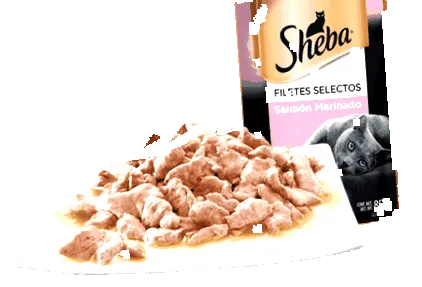 sheba
