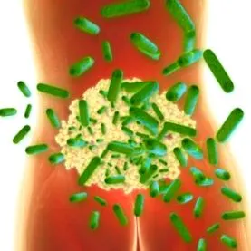 intestinală