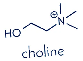 colină