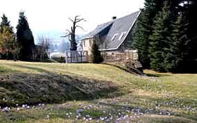 Doldige Vogelmilch